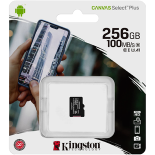 Карта пам'яті MicroSD 256Gb Kingston Canvas Select Plus A2 V30 (U3) R100