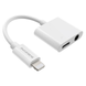 Аудио-переходник Borofone BV12 Lightning to Lightning HF + Lightning AC (Gray)